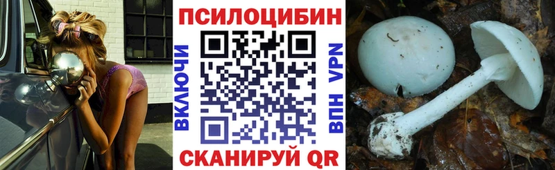 Купить  Туапсе  Галлюциногенные грибы мицелий 